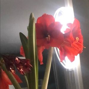 Meet your Posher, Chloe